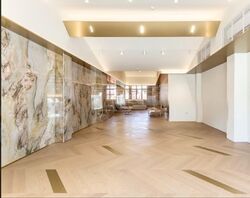 Lex Loci (D1), Shop House #588519951